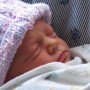Baby Mansfield