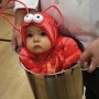 lobster-baby-costume