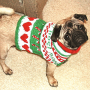 dog-christmas-sweater