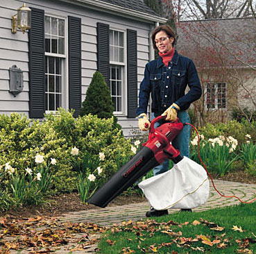 Do you own a leaf blower or a water fountain?