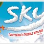 sky-vbs-overview