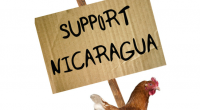 chicken for missions featured