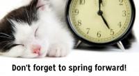 Daylight Saving Time Begins