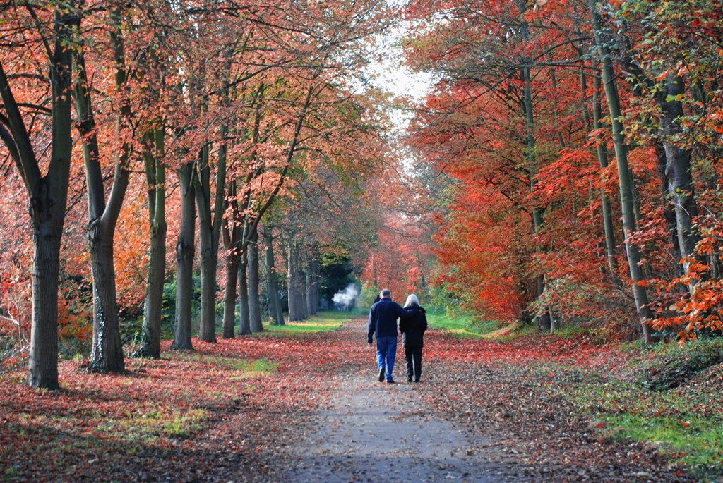 Couple walking Autumn