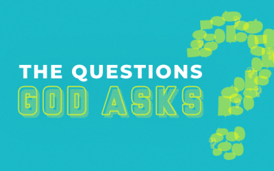 Questions God Asks: What Are You Doing Here?