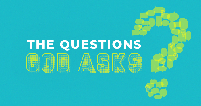 Questions God Asks: What’s in Your Hand?