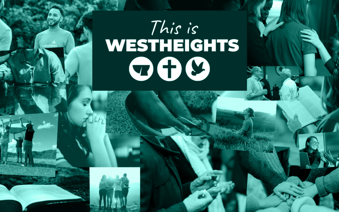 THIS IS WESTHEIGHTS